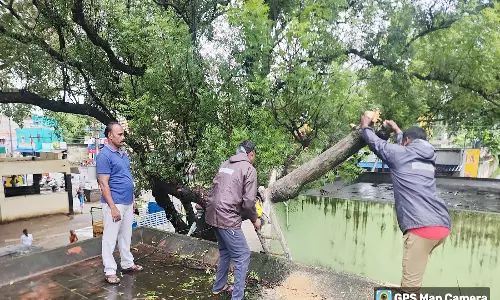 மழைக்கால நடவடிக்கைகள் தீவிரம்