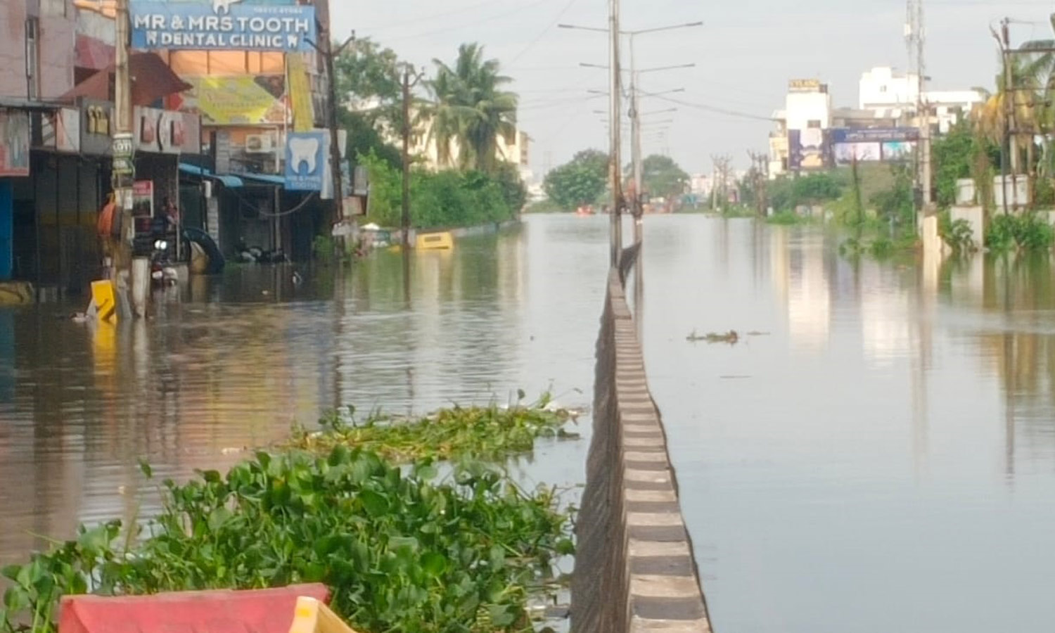 மிச்சாங் புயல் கனமழையில் சாலை ஓரங்களில் குவிந்த குப்பைகள்...