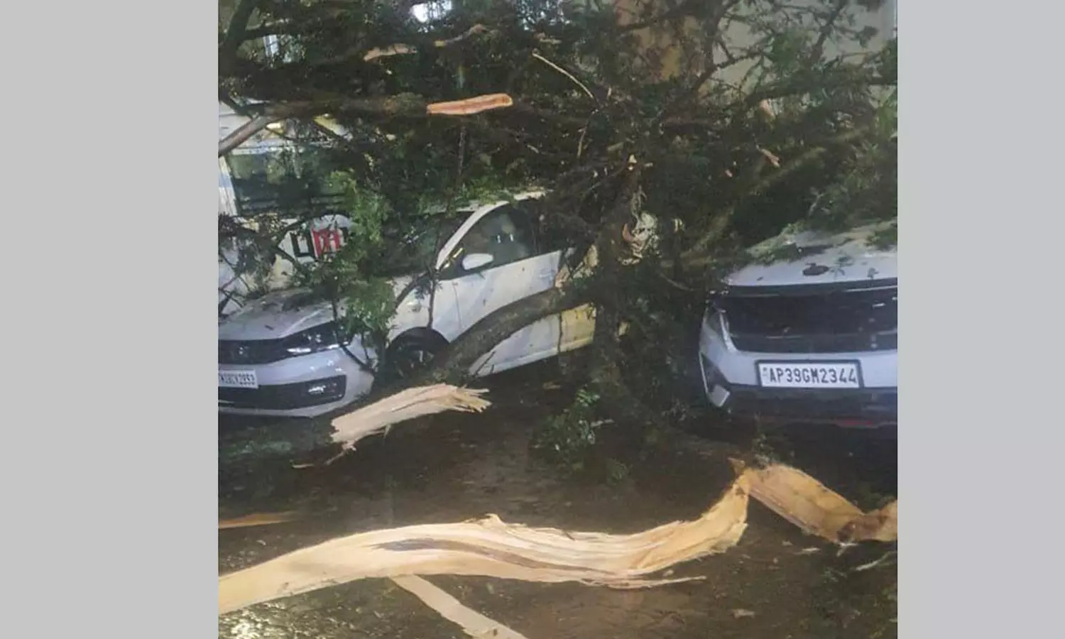 புயல் காற்றுடன் பலத்த மழை: திருப்பதி மலைப்பாதையில் மரங்கள் சாய்ந்தன