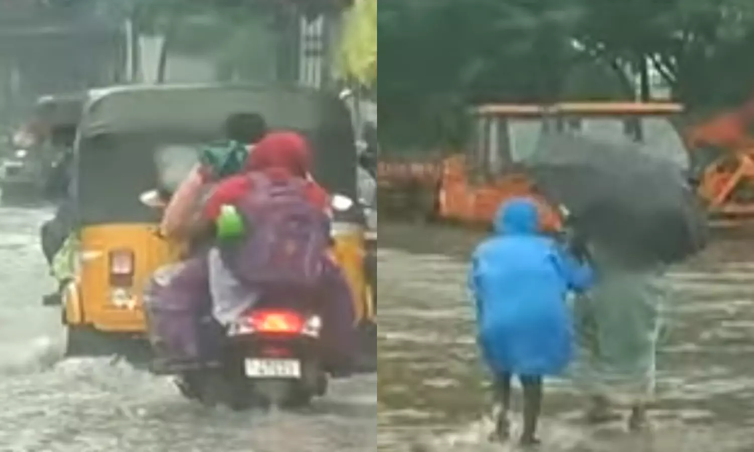 மிச்சாங் புயல் பாதிப்பு: செங்கல்பட்டு மாவட்டத்தில் 6 தாலுகாக்களில் பள்ளி, கல்லூரிகளுக்கு நாளை விடுமுறை மிச்சாங் புயல் பாதிப்பு: செங்கல்பட்டு மாவட்டத்தில் 6 தாலுகாக்களில் பள்ளி, கல்லூரிகளுக்கு நாளை விடுமுறை