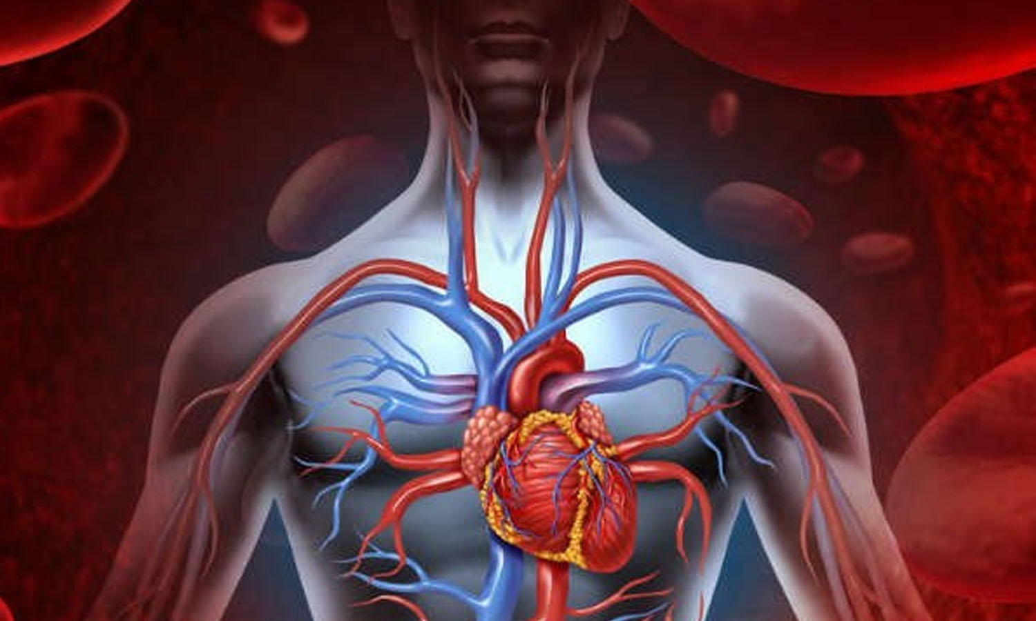 இதயத்தில் இத்தனை செயல்பாடுகளா...!