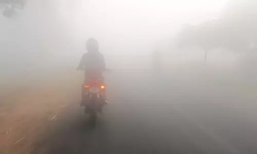 கடும்  பனிபொழிவால் வாகன ஒட்டிகள் அவதி