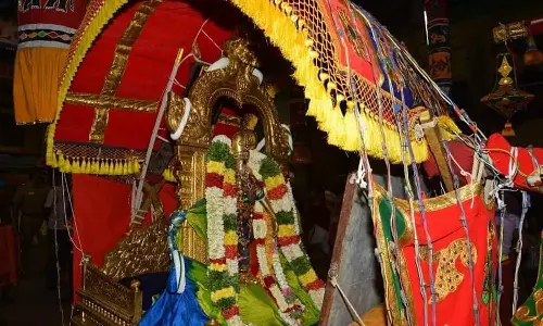 பல்லக்கு வாகனமும் தேர்த்திருவிழாவும்