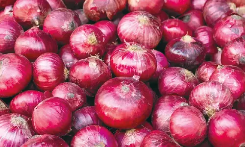 வெங்காய ஏற்றுமதி... தடை விதித்த மத்திய அரசு