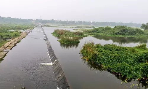 விசாகத்தில் அவதரித்த தாமிரபரணி