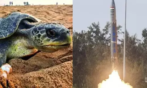 ஒடிசாவில் ஏவுகணை சோதனை நிறுத்தம்