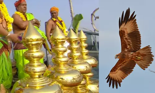 திருக்குட முழுக்கில் கருடன்