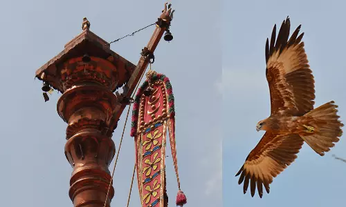 கோவில் கொடியேற்றத்தில் கருடன்