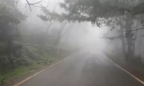 கொடைக்கானலில் கடும் பனிமூட்டத்தால் வாகன ஓட்டிகள் சிரமம்