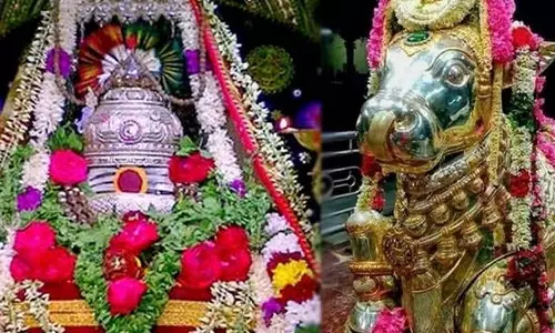 தோஷங்களை விரட்டும் பிரதோஷம்