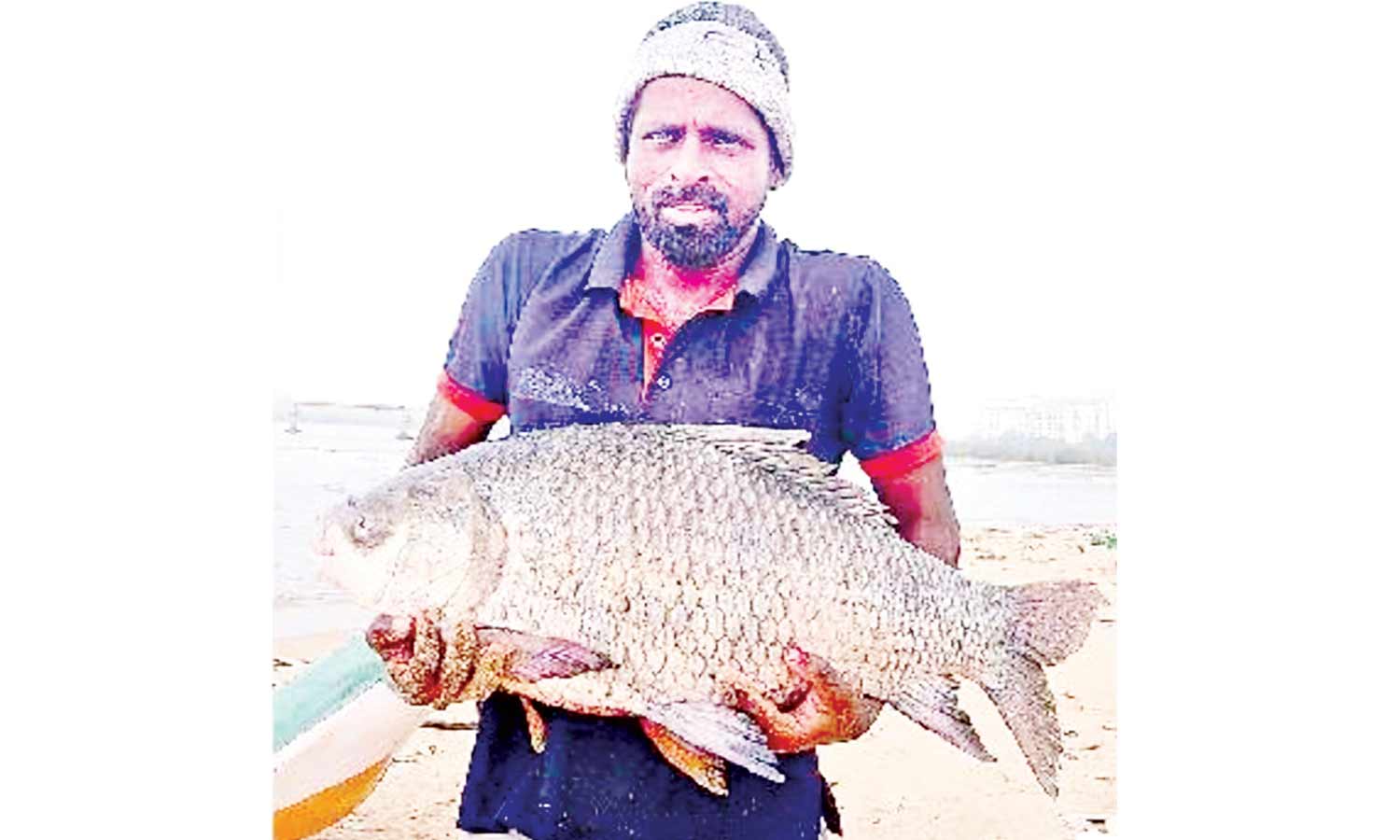 வெள்ளத்தில் சிக்கிய 20 கிலோ மீன்