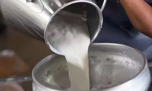 சென்னையில் 16 லட்சம் லிட்டர் ஆவின் பால் சப்ளை