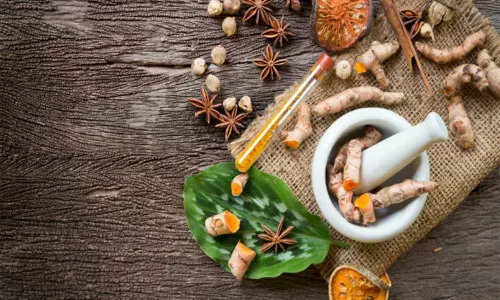 முதுமையில் நீரிழிவு கட்டுப்பட உணவும், மருந்தும்