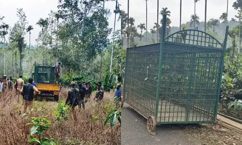 விவசாயியை கொன்ற புலியை பிடிக்க 80 பேர் குழு தேடுதல் வேட்டை- வனப்பகுதியில் துப்பாக்கியுடன் ரோந்து