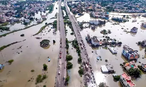 சென்னையில் வெள்ள அபாயம் ஏற்பட இதுதான் காரணம்... WWF வெளியிட்ட அறிக்கையில் பரபரப்பு தகவல்