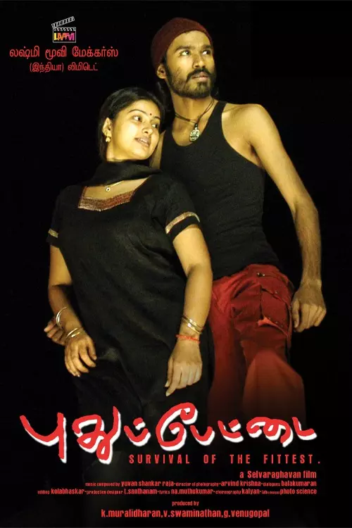 புதுப்பேட்டை