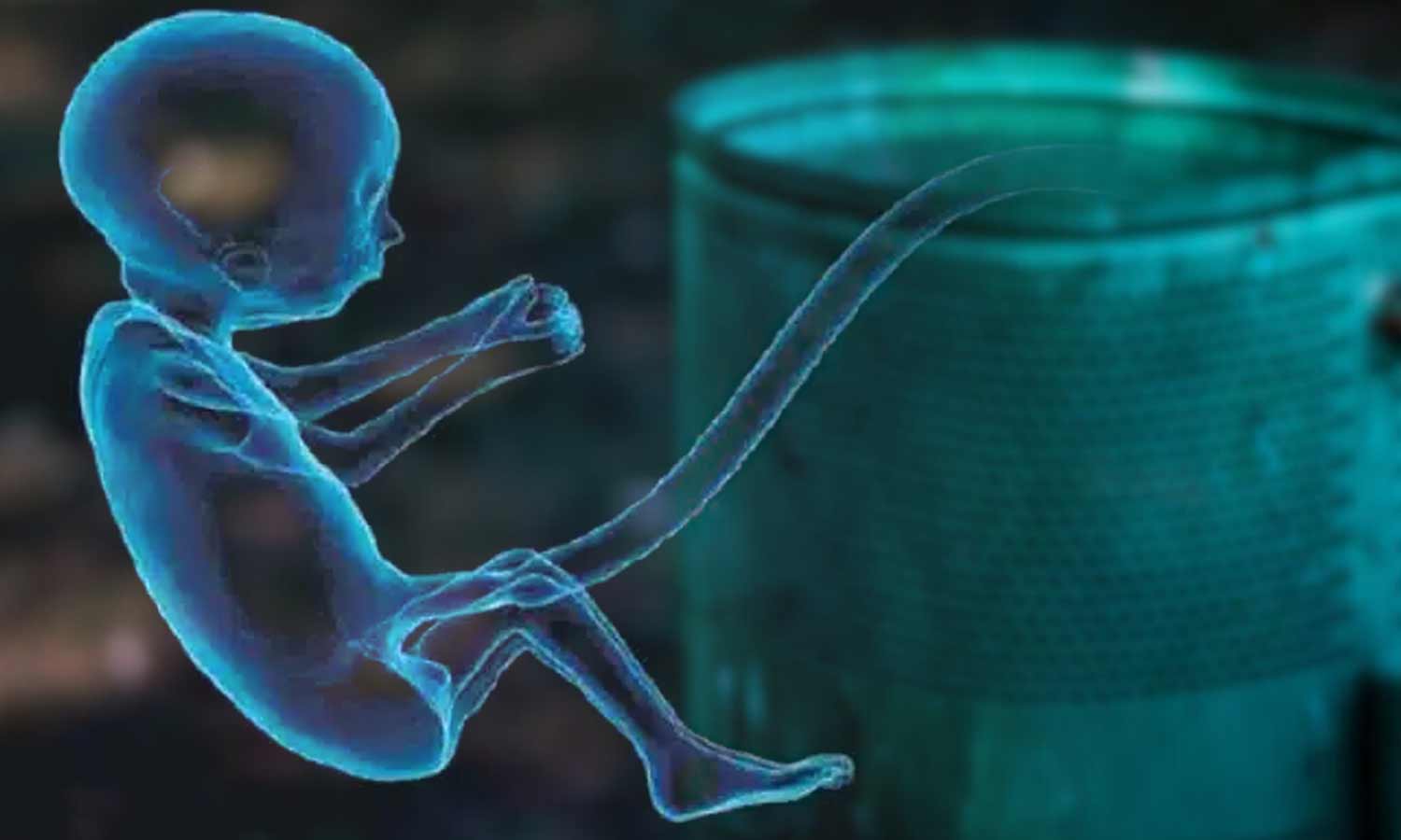 குப்பை தொட்டிக்குள் பெண் கரு கண்டெடுப்பு: கருகலைப்பில் ஈடுபட்ட 2 நர்சுகள் உள்பட 4 பேர் கைது