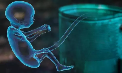 குப்பை தொட்டிக்குள் பெண் கரு கண்டெடுப்பு: கருகலைப்பில் ஈடுபட்ட 2 நர்சுகள் உள்பட 4 பேர் கைது