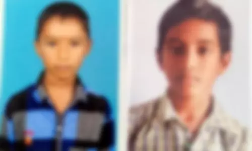 மின்சாரம் தாக்கி  2 சகோதர்கள் பலி