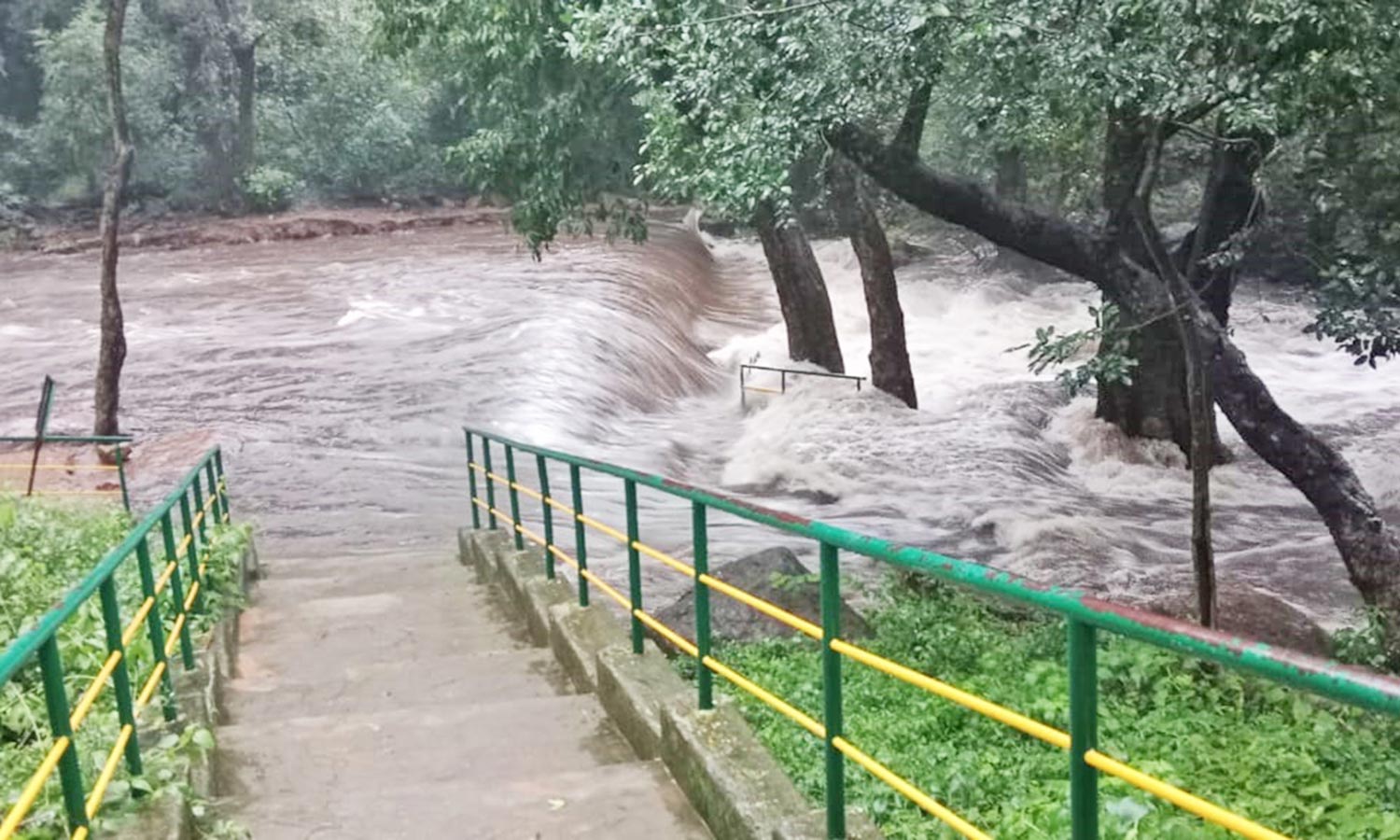 நெல்லை, தென்காசி, தூத்துக்குடியில் மழை:  களக்காடு தலையணை செல்ல தடை