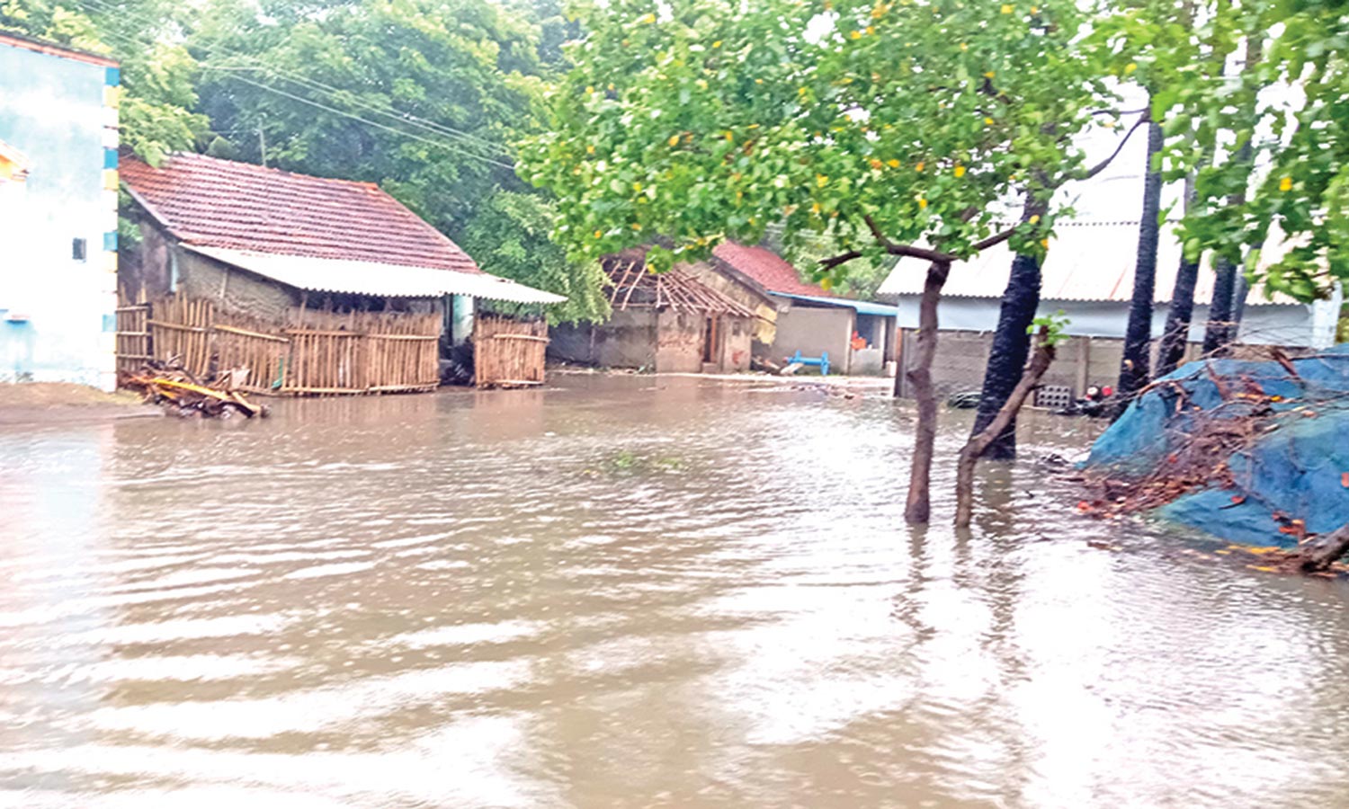 டெல்டா மாவட்டங்களில் ஒரே நாளில் 1650 மி.மீ. மழை கொட்டியது