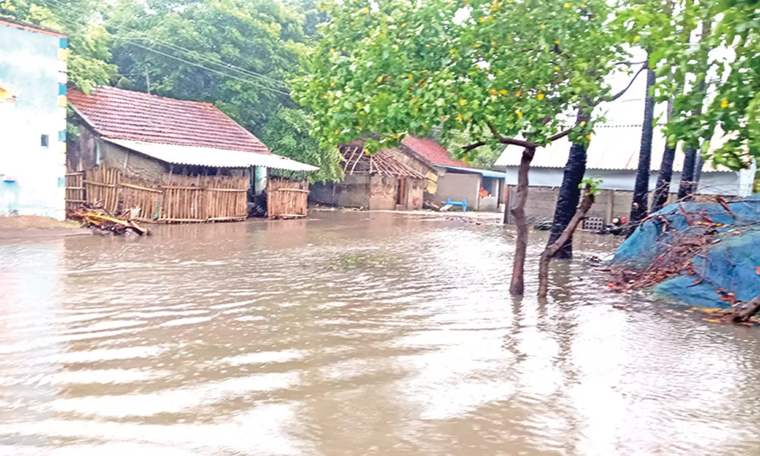 டெல்டா மாவட்டங்களில் ஒரே நாளில் 1650 மி.மீ. மழை கொட்டியது டெல்டா மாவட்டங்களில் ஒரே நாளில் 1650 மி.மீ. மழை கொட்டியது