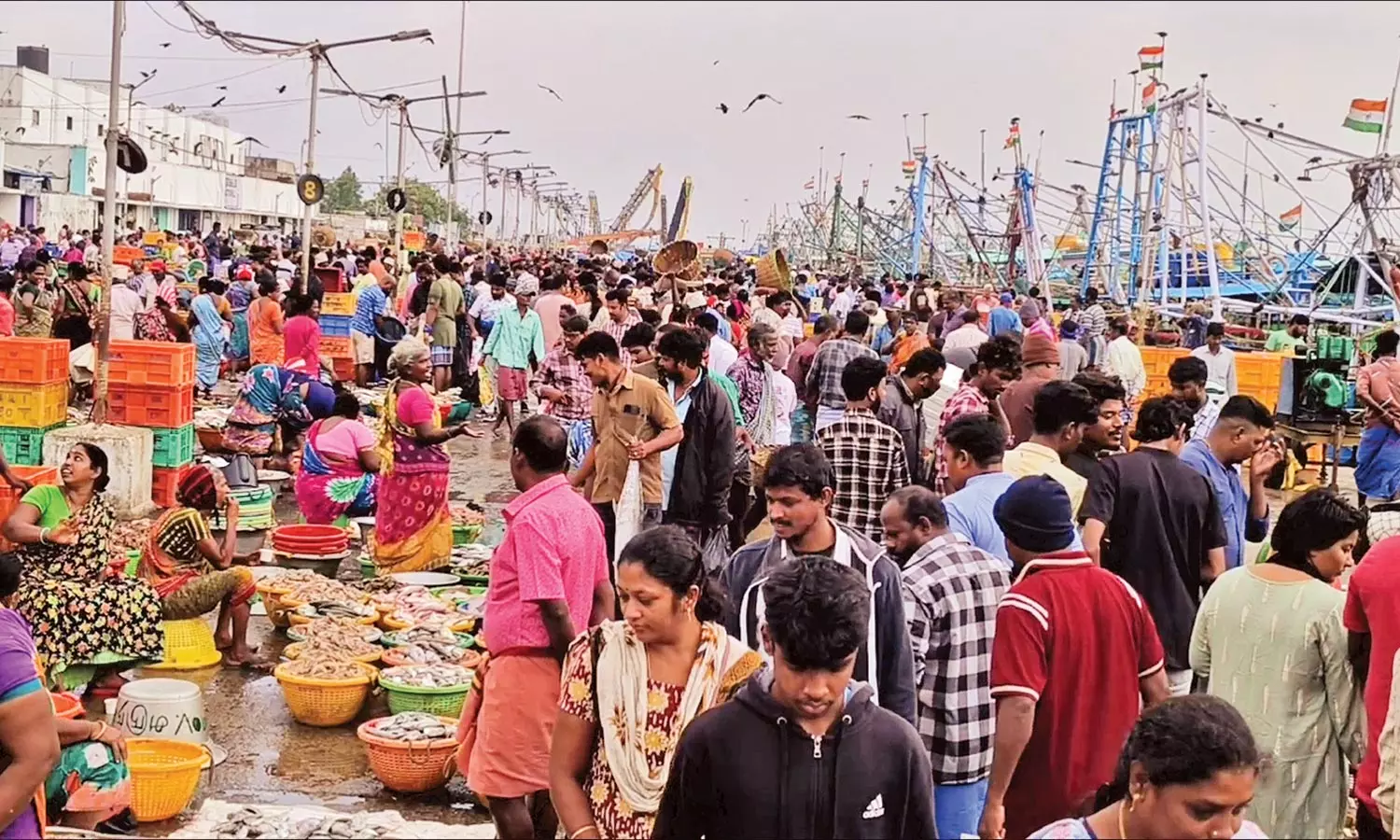 காசிமேட்டில் மீன்வாங்க குவிந்த கூட்டம்