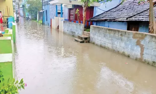 கனமழை- 50 வீடுகளை வெள்ளம் சூழ்ந்தது