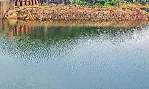 கனமழை: நாலுமுக்கு எஸ்டேட்டில் 19 சென்டிமீட்டர் பதிவு