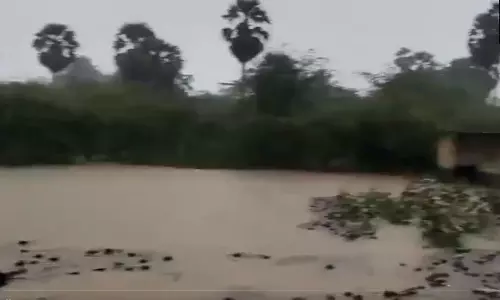 நெல்லை, தென்காசி, கன்னியாகுமரி, தூத்துக்குடியில் நாளை பள்ளி, கல்லூரிகளுக்கு விடுமுறை