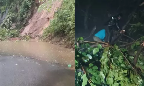 போடிமெட்டு, குமுளி மலைச்சாலையில் போக்குவரத்துக்கு தடை