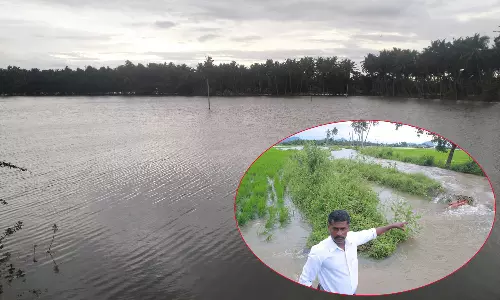 குமரி மாவட்டத்தில் வெள்ளப்பெருக்கு: கால்வாய், குளங்கள் உடைப்பு- மூழ்கிய நெற்பயிர்கள்