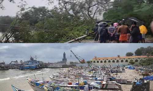 50 ஆயிரம் மீனவர்கள் கடலுக்கு மீன் பிடிக்க செல்லவில்லை