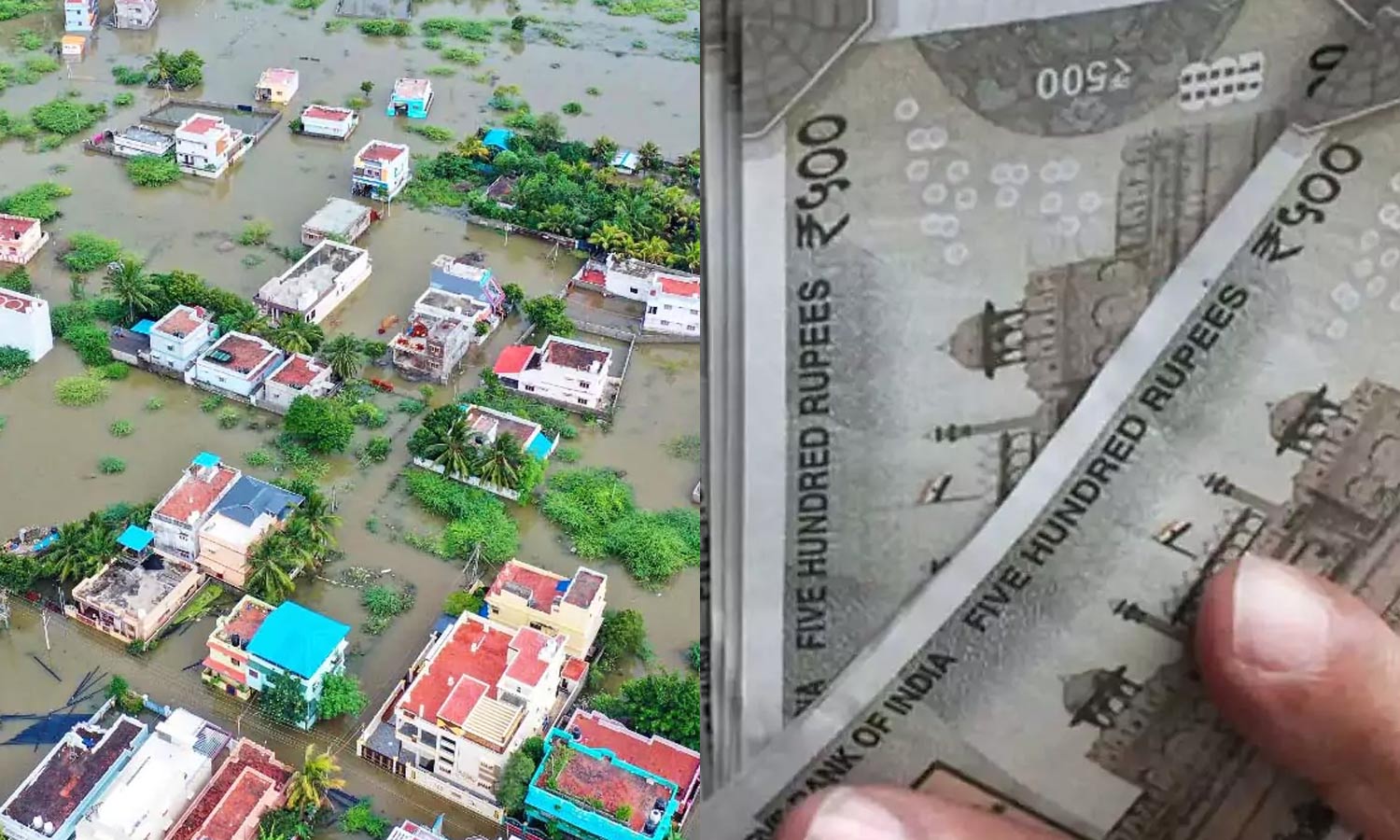 டோக்கனில் எந்த தேதி குறிப்பிட்டிருந்தாலும் இன்றே பணம் பெற்றுக்கொள்ளலாம்: அரசு உத்தரவு