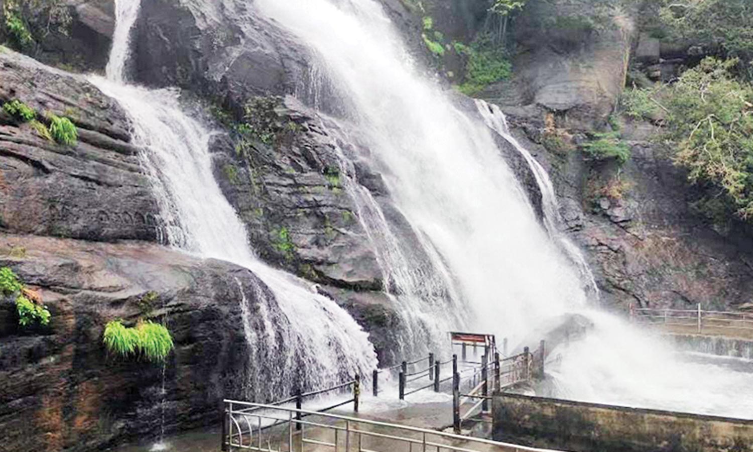 குற்றாலம் அருவிகளில் வெள்ளப்பெருக்கு குறைந்தது: ஐந்தருவியில் மட்டும் குளிக்க அனுமதி