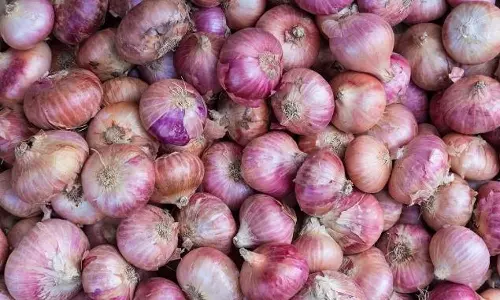 வரத்து குறைவால் பெரிய வெங்காயம் விலை மீண்டும் ரூ.50-ஐ தாண்டியது