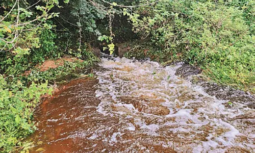 மதுராந்தகம் அருகே ஏரி உடைந்து வீணாகும் தண்ணீர்: விவசாயிகள் வேதனை
