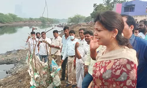 எண்ணெய் கழிவால் பாதிக்கப்பட்ட இடங்களை சவுமியா அன்புமணி பார்வையிட்டார்