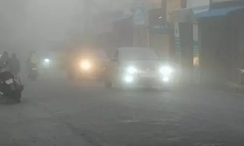 ஏற்காட்டில் கடும் பனிப்பொழிவு-வாட்டி வதைக்கும் குளிர் பொதுமக்களின் இயல்பு வாழ்க்கை முடங்கியது