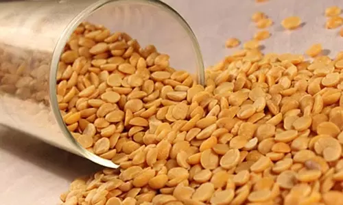 பருப்புக்கான இறக்குமதி வரி ரத்து நீட்டிப்பு: மத்திய அரசு