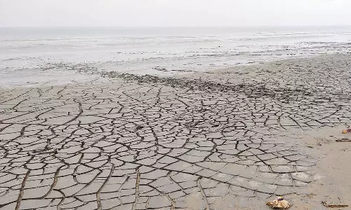 வேதாரண்யத்தில் 100 அடி தூரம் கடல் உள்வாங்கியது