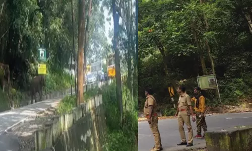 சாலையில் சுற்றி திரியும் காட்டு யானைகள்- புகைப்படம் எடுத்த சுற்றுலா பயணிக்கு அபராதம்