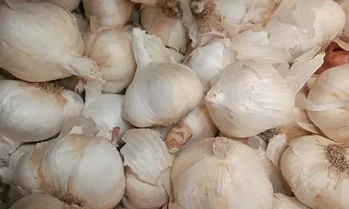 கோயம்பேடு மார்க்கெட்டுக்கு வரத்து குறைவால் பூண்டு விலை உயர்வு