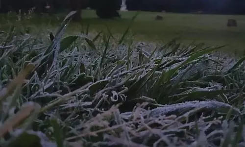 ஊட்டியில் 7.3 டிகிரி செல்சியஸ் வெப்பநிலை பதிவு கடும் குளிர்-பனிப்பொழிவால் மக்கள் அவதி