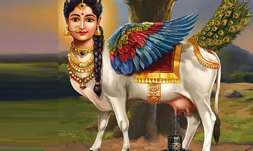 திருக்கோகர்ண தலத்தில் தினமும்  காமதேனுவின்    அபிஷேகம்