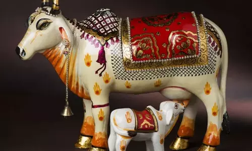 தேவ பசுவின் சொரூபமாக விளங்கிய அன்னை புவனேஷ்வரி