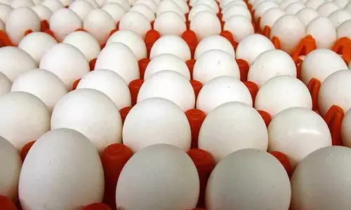 நாமக்கல் மண்டலத்தில் முட்டை கொள்முதல் விலை கடும் உயர்வு