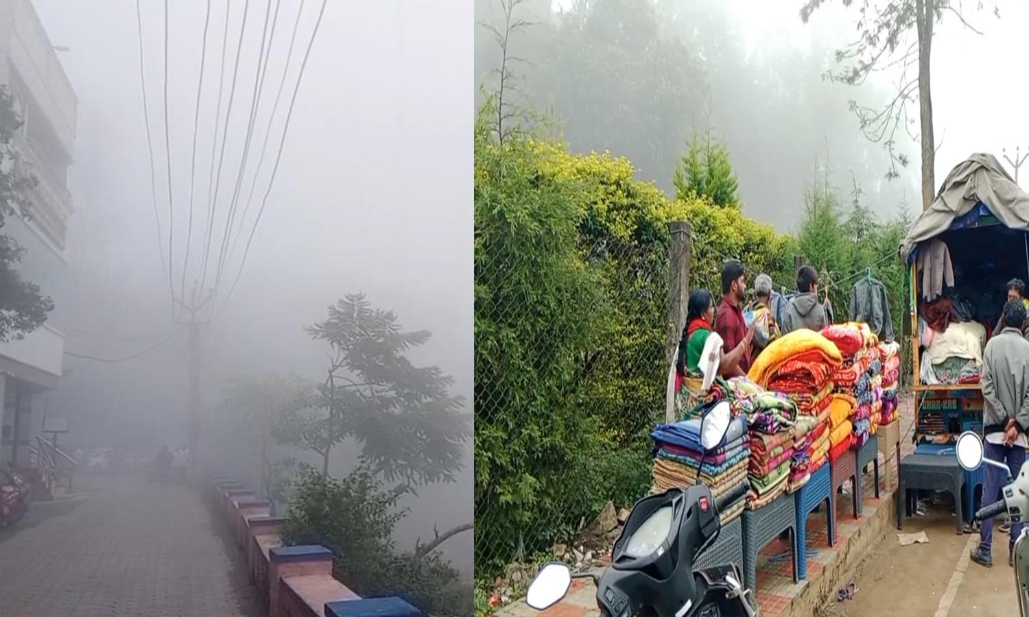 ஏற்காட்டில்  பனிமூட்டம்- கடும் குளிர்