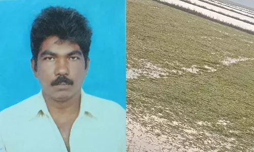 வெள்ளத்தால் அழிந்து போன நெல் நாற்றுகள்: பெரும் நஷ்டத்தில் தவிக்கும் விவசாயிகள்