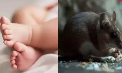 பிறந்து 40 நாட்கள் ஆன நிலையில் எலி கடித்து பச்சிளம் குழந்தை பலி